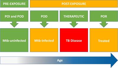 Clinical Development of New TB Vaccines: Recent Advances and Next Steps